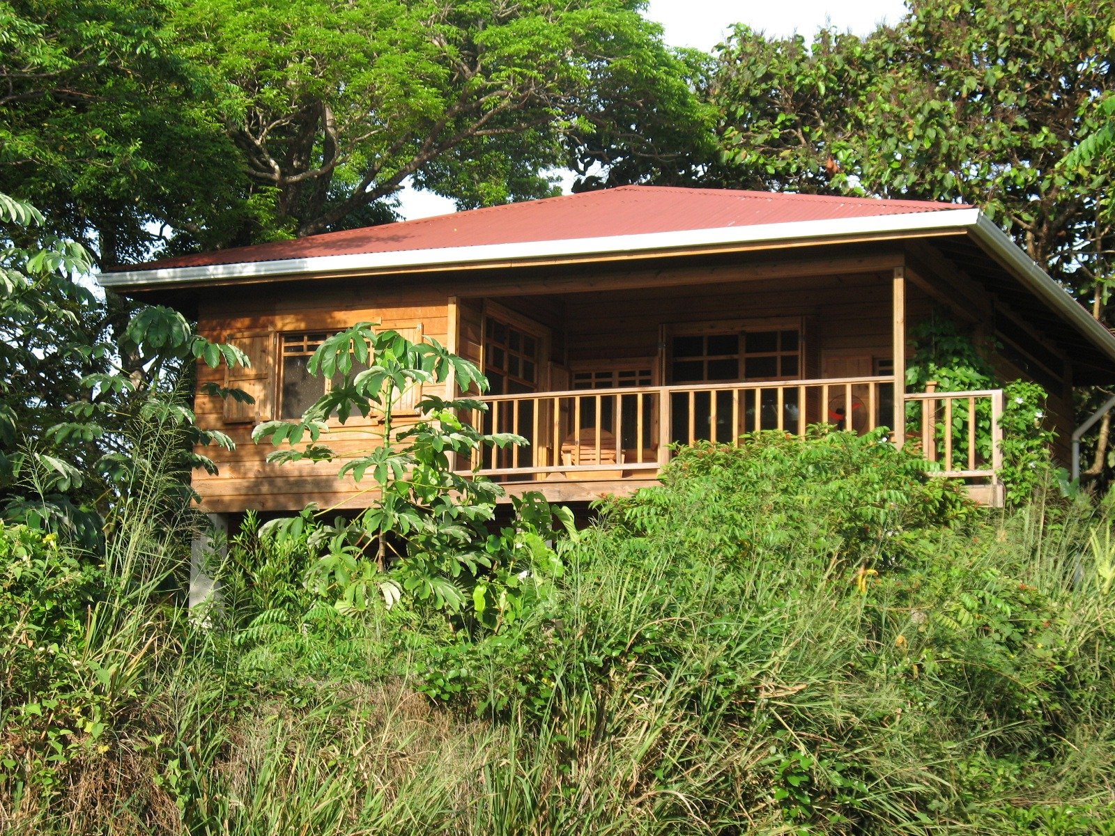 Ecohouse, a casa consciente